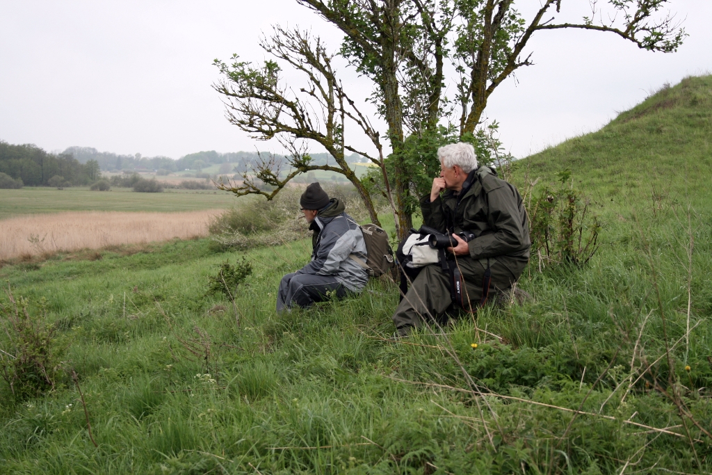 VWG vogelreis Oost Duitsland mei 2010 311